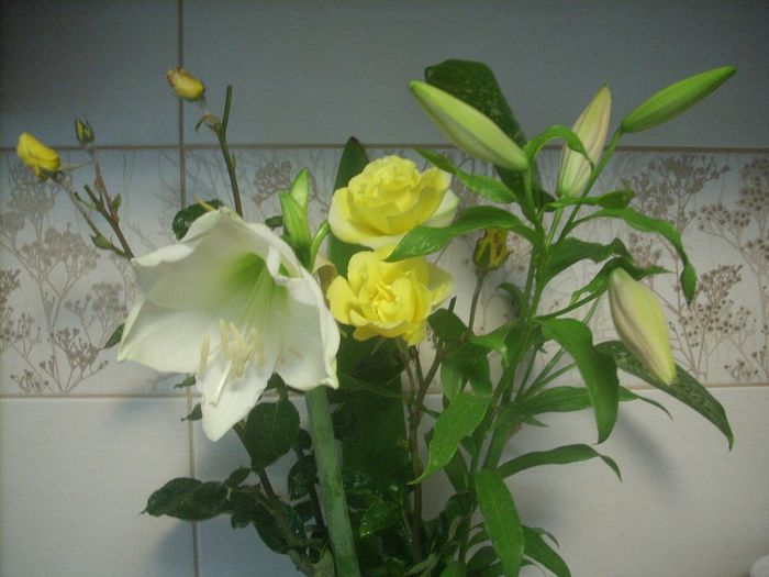 DSCN2834[1] - primavara 2013