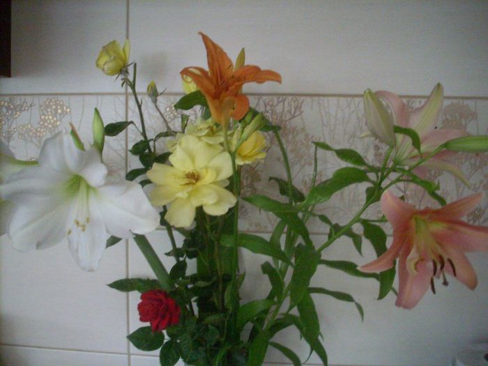 DSCN2843[1] - primavara 2013