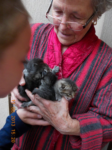 14 iunie 2013-flori 120