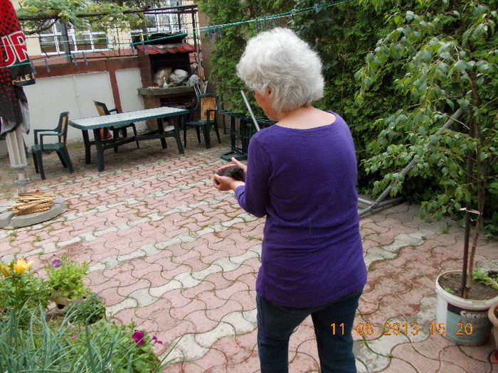 14 iunie 2013-flori 122