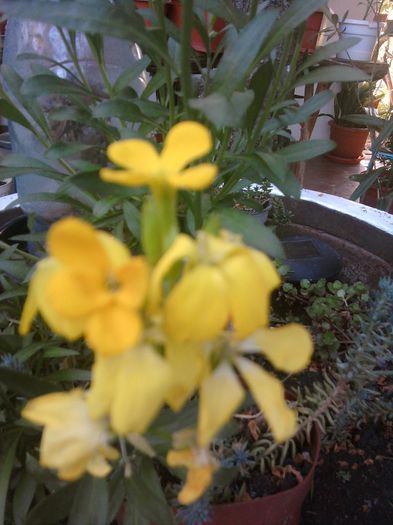 Fotografii-0327