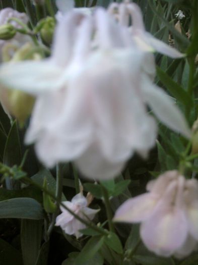 Fotografii-0397