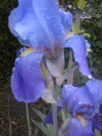 Fotografii-0399