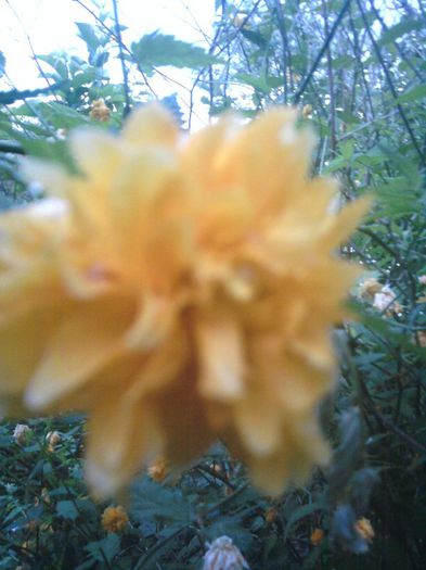 Fotografii-0425