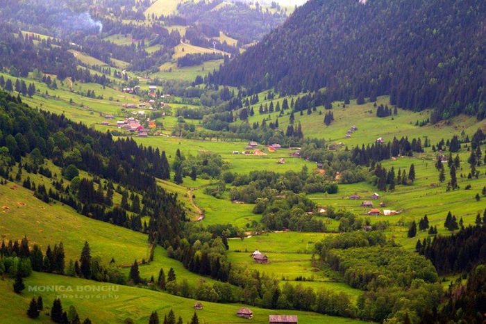 IMAGINE VALEA MUNTELUI O ZONA SUPERBA