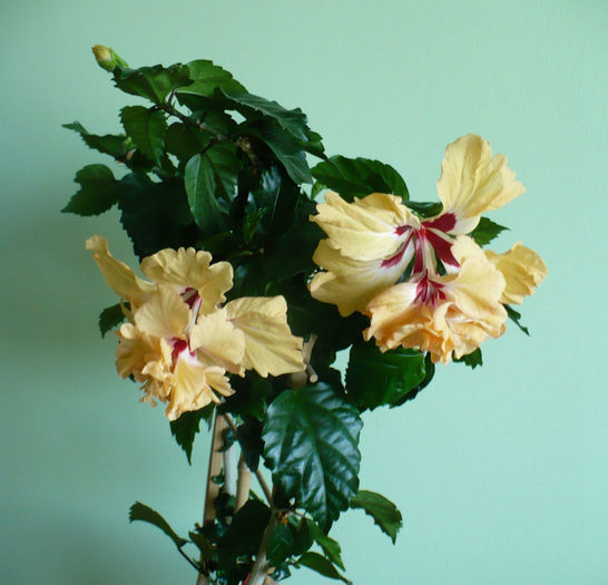 P1450097