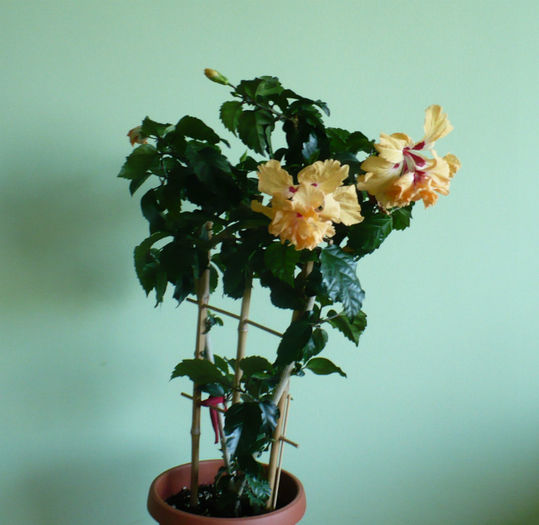 P1450099