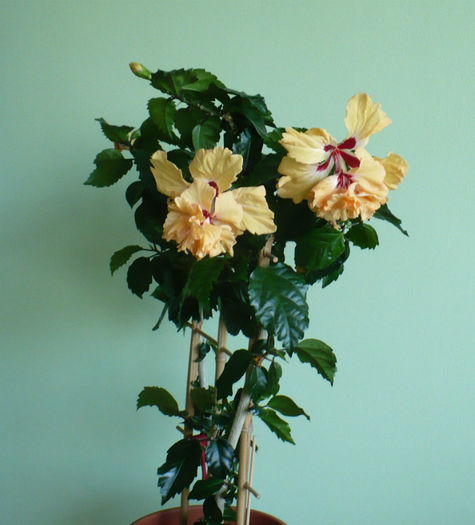 P1450102
