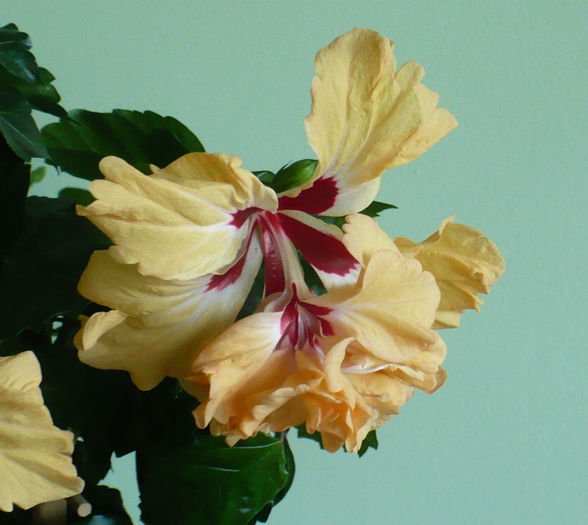 P1450106
