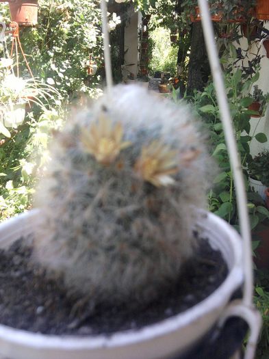 Fotografii-0714 - iunie 2013