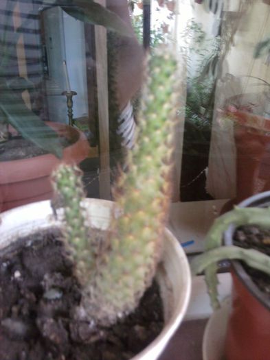 Fotografii-0721 - iunie 2013