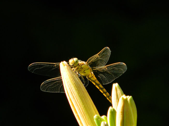 DSCN3192