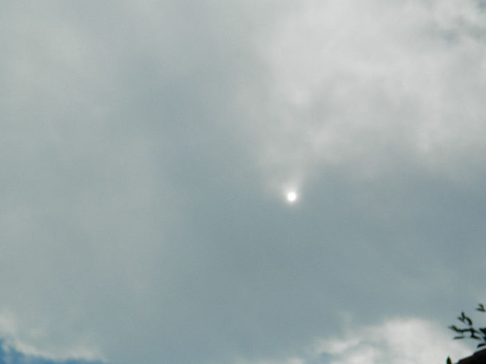 DSCN4329