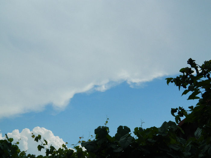 DSCN4330