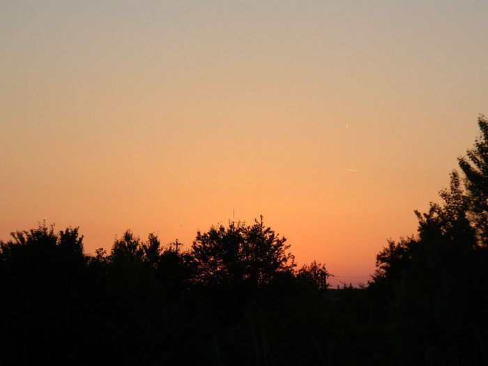 DSCN4463