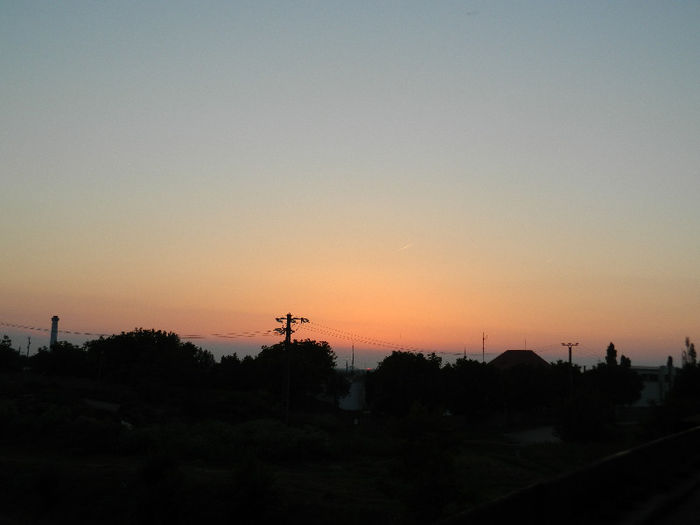 DSCN4478
