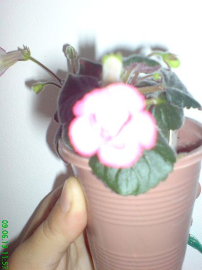 DSC07194