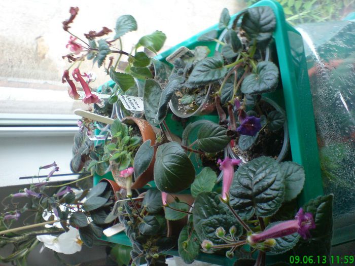 DSC07198