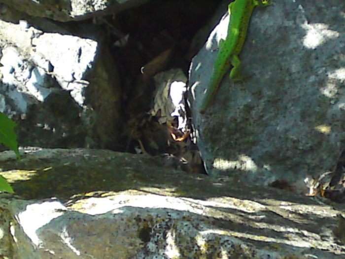 010 - Pozele anului 2013