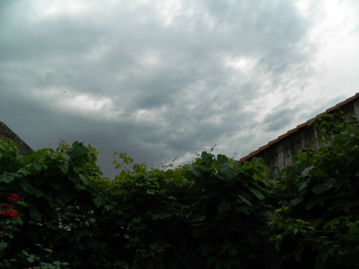 DSCN4536 - IUNIE 2013
