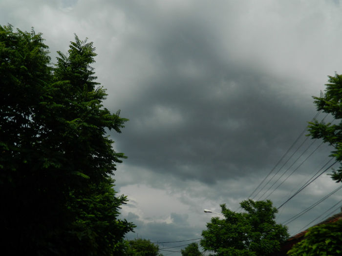 DSCN4570