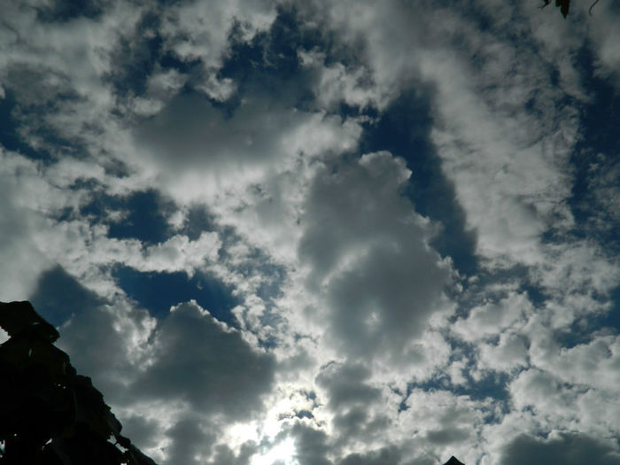 DSCN4588