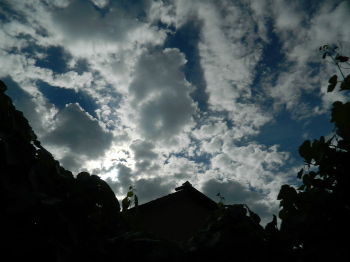 DSCN4589