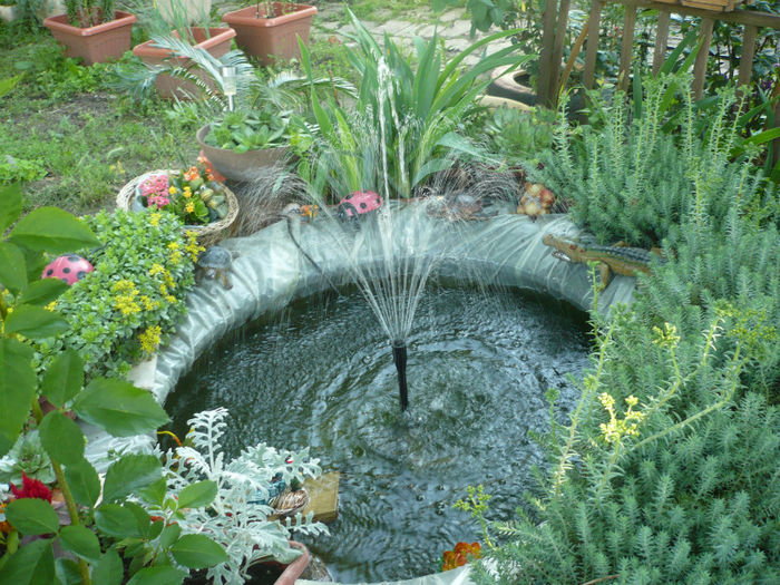 P1030241  MINI IAZ - IUNIE 6-15 2013