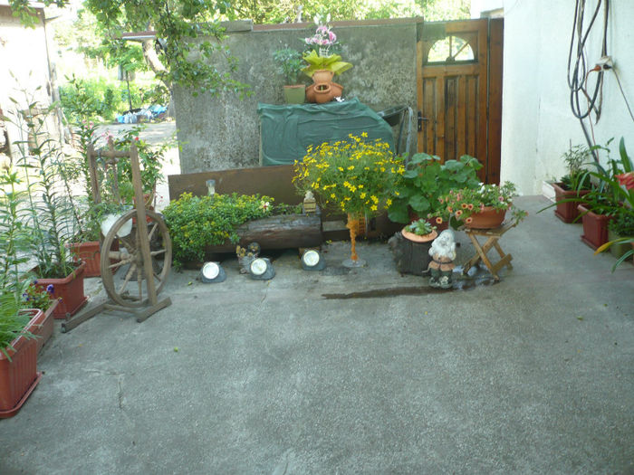 P1030244 - IUNIE 6-15 2013