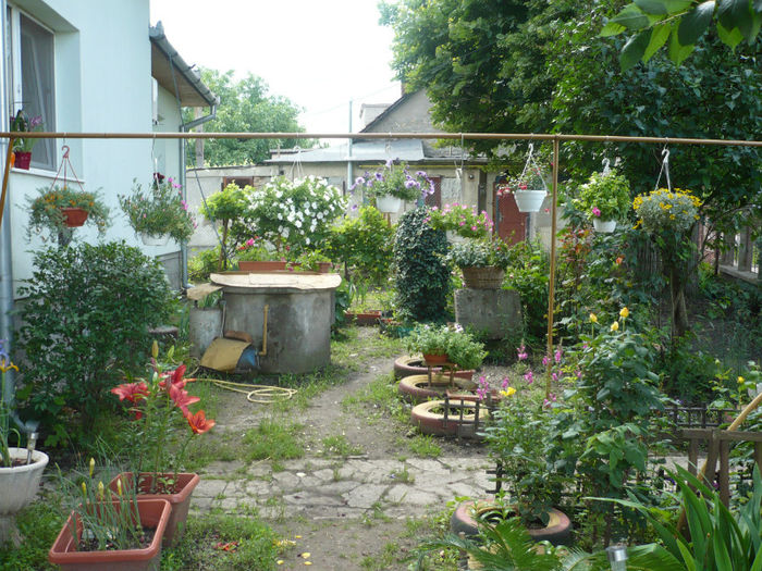 P1030264 - IUNIE 6-15 2013