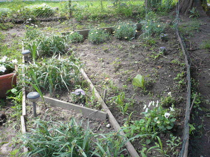 P1030275 - IUNIE 6-15 2013