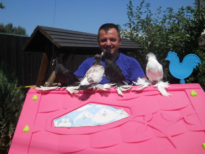 DSCN1516 - porumbei tobosari germani