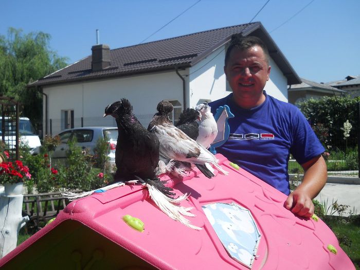 DSCN1518 - porumbei tobosari germani