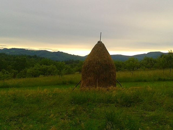 claie de fan - Peisaje locale