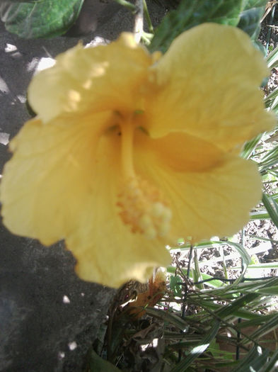 Fotografie2988 - moon