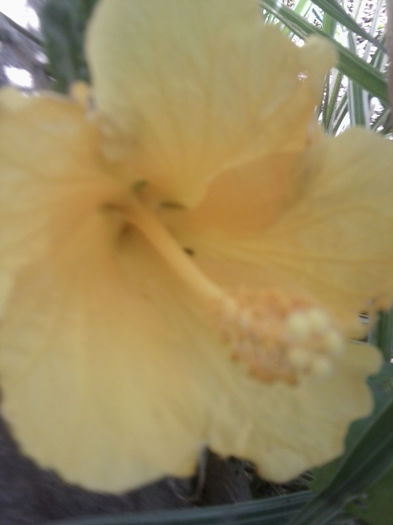 Fotografie2995 - moon