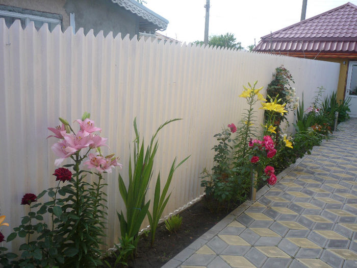 original 1765 - AA foto 2013