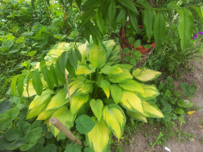 20130613_125922