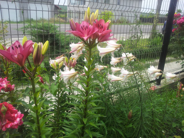 20130613_130040