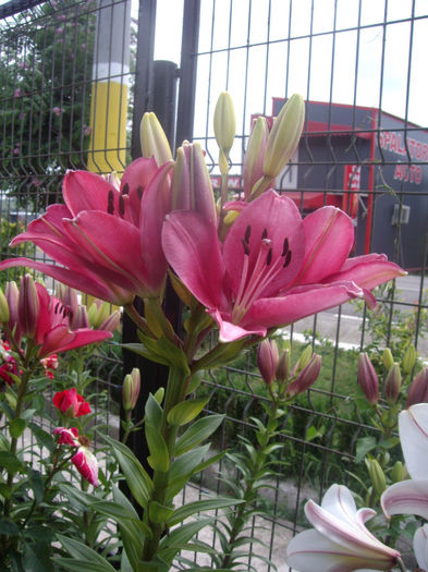 IMGP4902