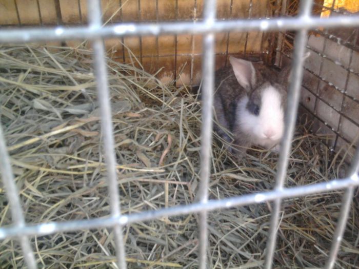 Photo0154
