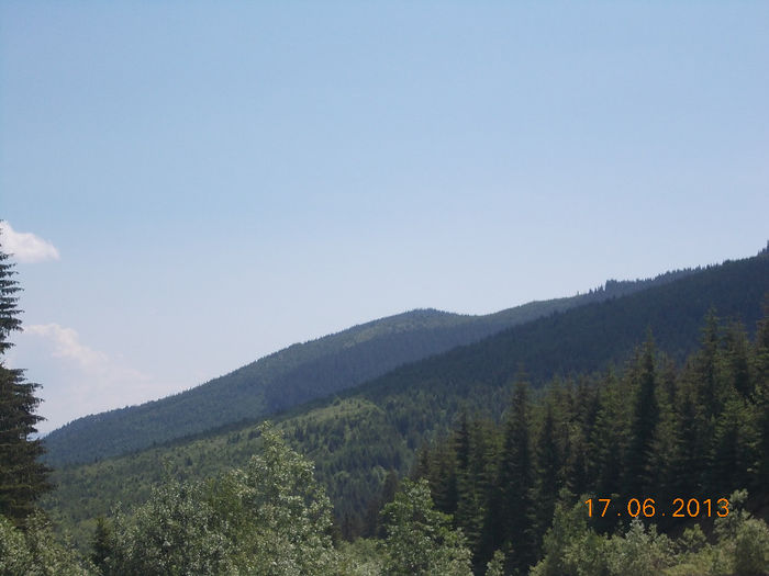 DSCN1992 - 2013-06-17 Transalpina