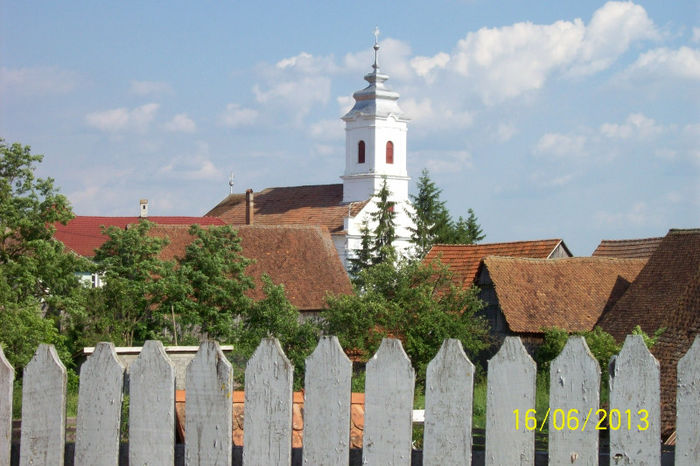 100_8247