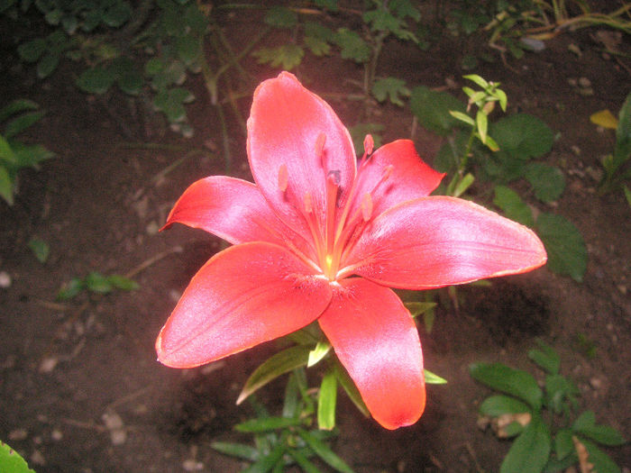 SANY0047