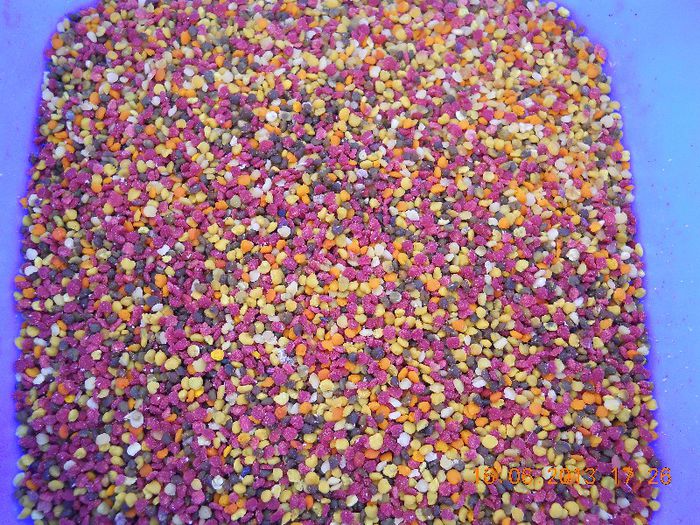 polen colectat de la padure