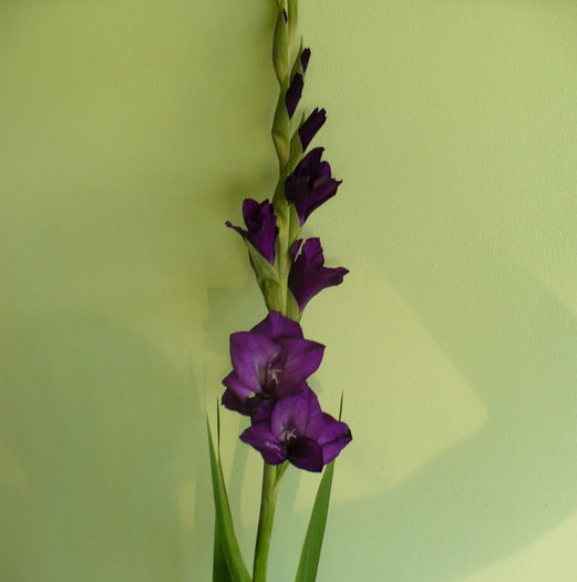 P1450138