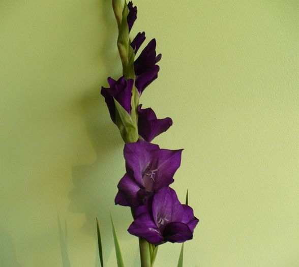 P1450143