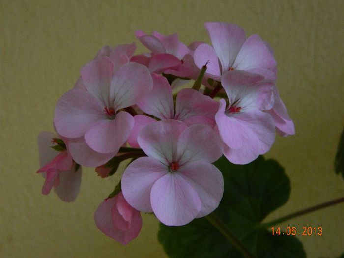 034