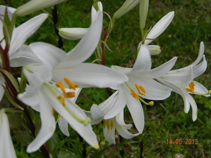 041