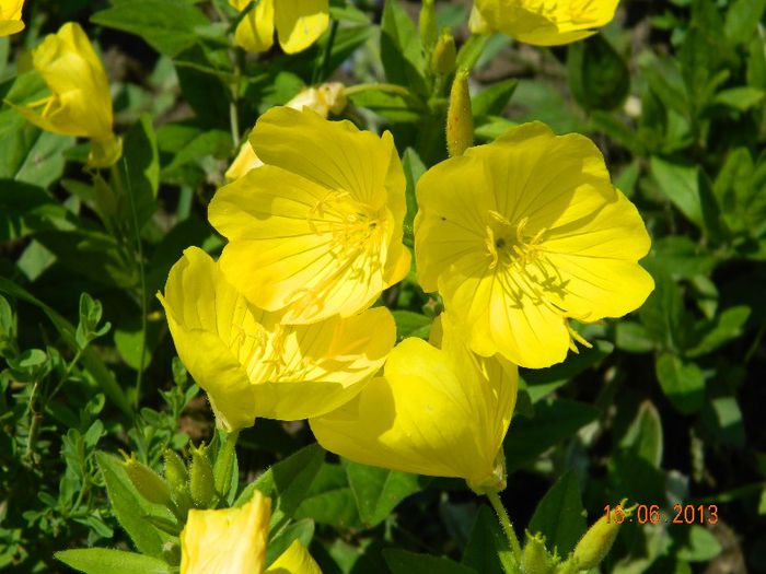 071